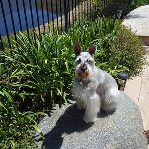 Meet your Posher, Michael